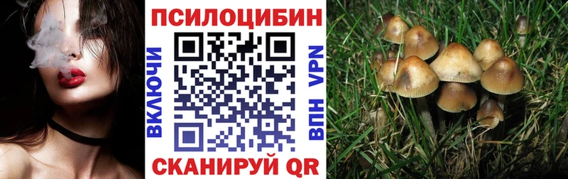 Галлюциногенные грибы Cubensis  Макаров 